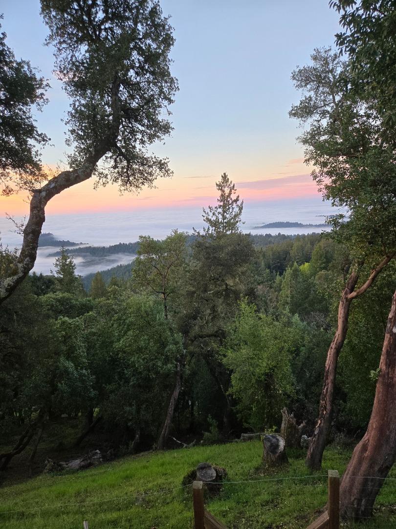 Detail Gallery Image 65 of 76 For 24854 Skyland Rd, Los Gatos,  CA 95033 - 3 Beds | 2 Baths