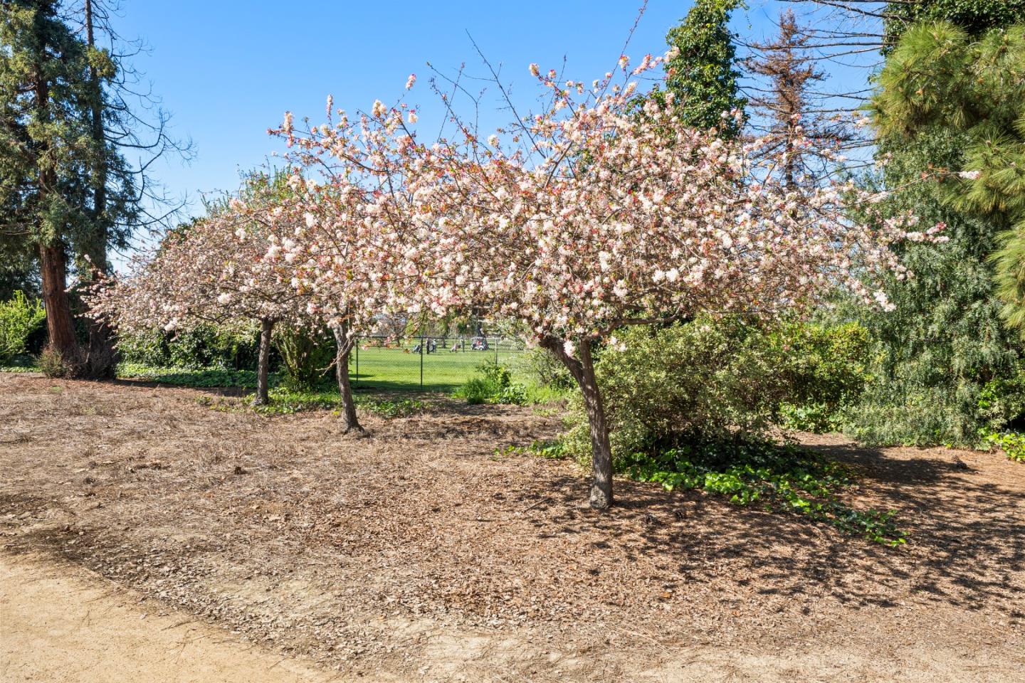 Detail Gallery Image 22 of 30 For 1302 Fairway Entrance Dr, San Jose,  CA 95131 - 2 Beds | 2 Baths