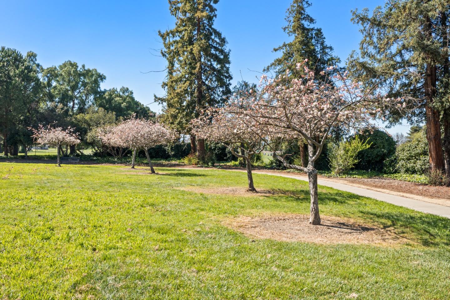 Detail Gallery Image 23 of 30 For 1302 Fairway Entrance Dr, San Jose,  CA 95131 - 2 Beds | 2 Baths