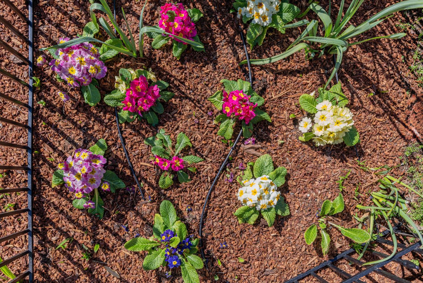 Detail Gallery Image 47 of 60 For 1452 La Crosse Dr, Sunnyvale,  CA 94087 - 4 Beds | 2 Baths