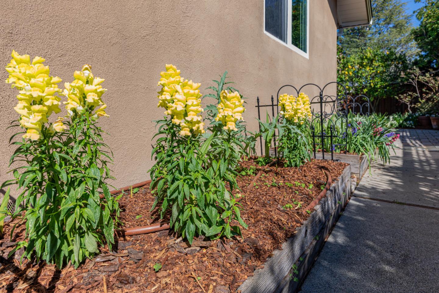 Detail Gallery Image 52 of 60 For 1452 La Crosse Dr, Sunnyvale,  CA 94087 - 4 Beds | 2 Baths