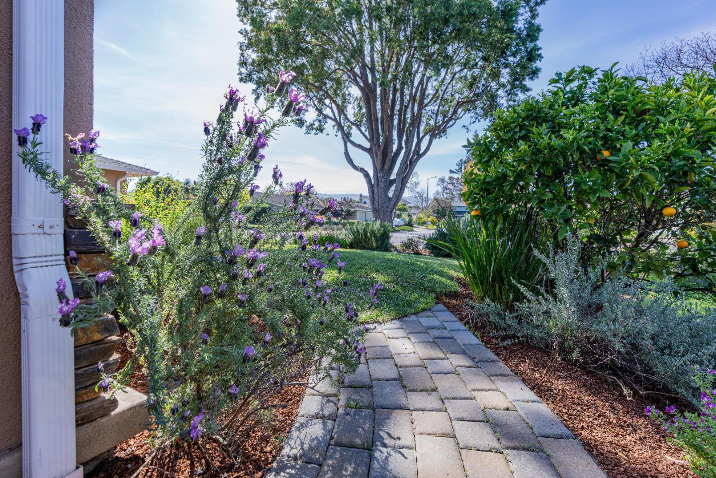 Detail Gallery Image 55 of 60 For 1452 La Crosse Dr, Sunnyvale,  CA 94087 - 4 Beds | 2 Baths