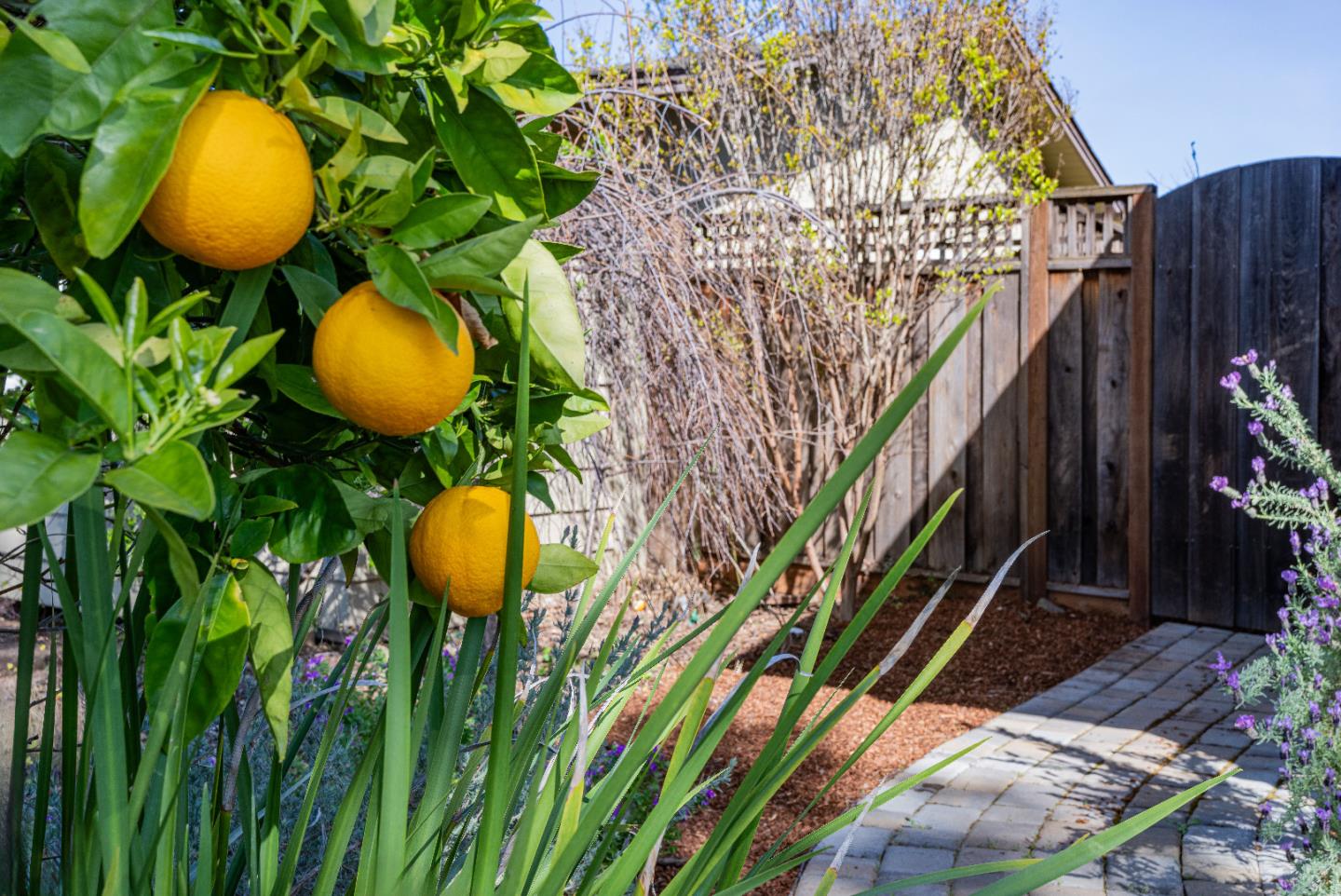 Detail Gallery Image 56 of 60 For 1452 La Crosse Dr, Sunnyvale,  CA 94087 - 4 Beds | 2 Baths