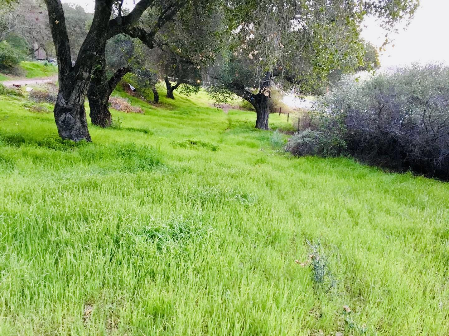 Detail Gallery Image 10 of 15 For 30010 Olivia Dr, Greenfield,  CA 93927 - – Beds | – Baths