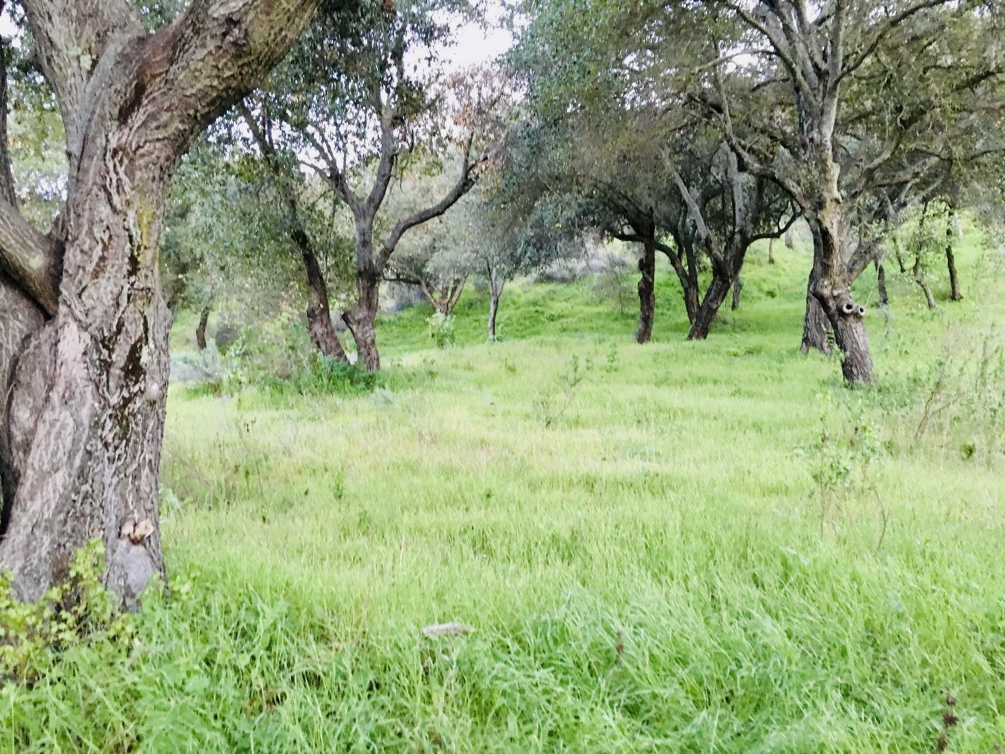 Detail Gallery Image 11 of 15 For 30010 Olivia Dr, Greenfield,  CA 93927 - – Beds | – Baths