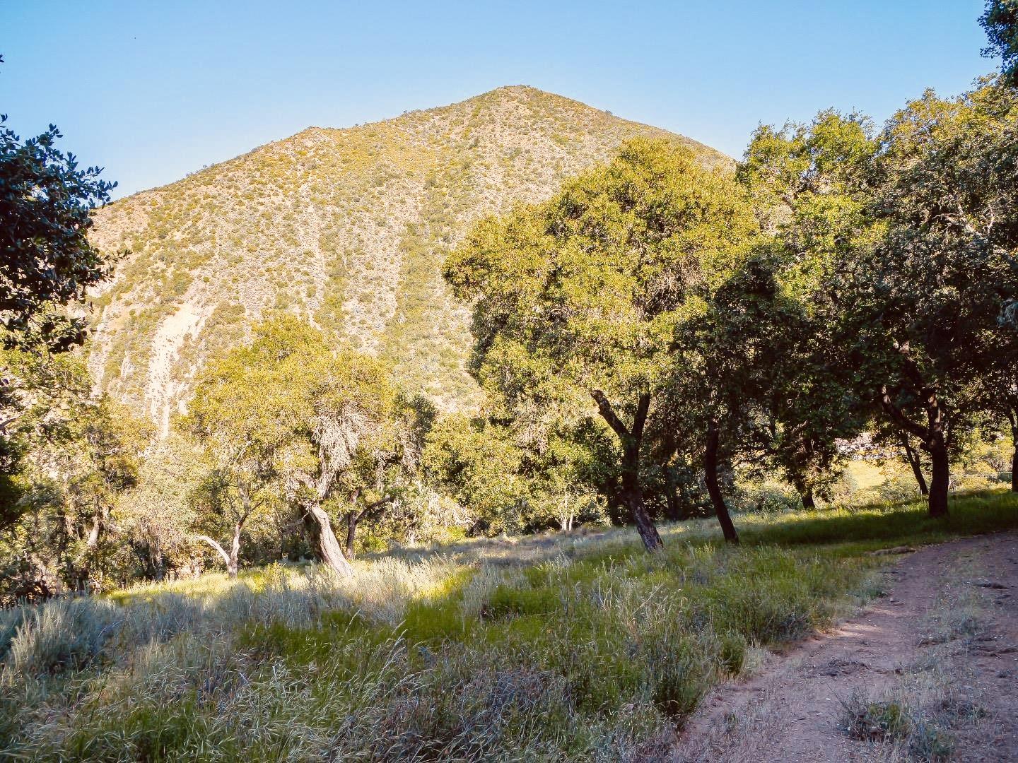 Detail Gallery Image 13 of 15 For 30010 Olivia Dr, Greenfield,  CA 93927 - – Beds | – Baths