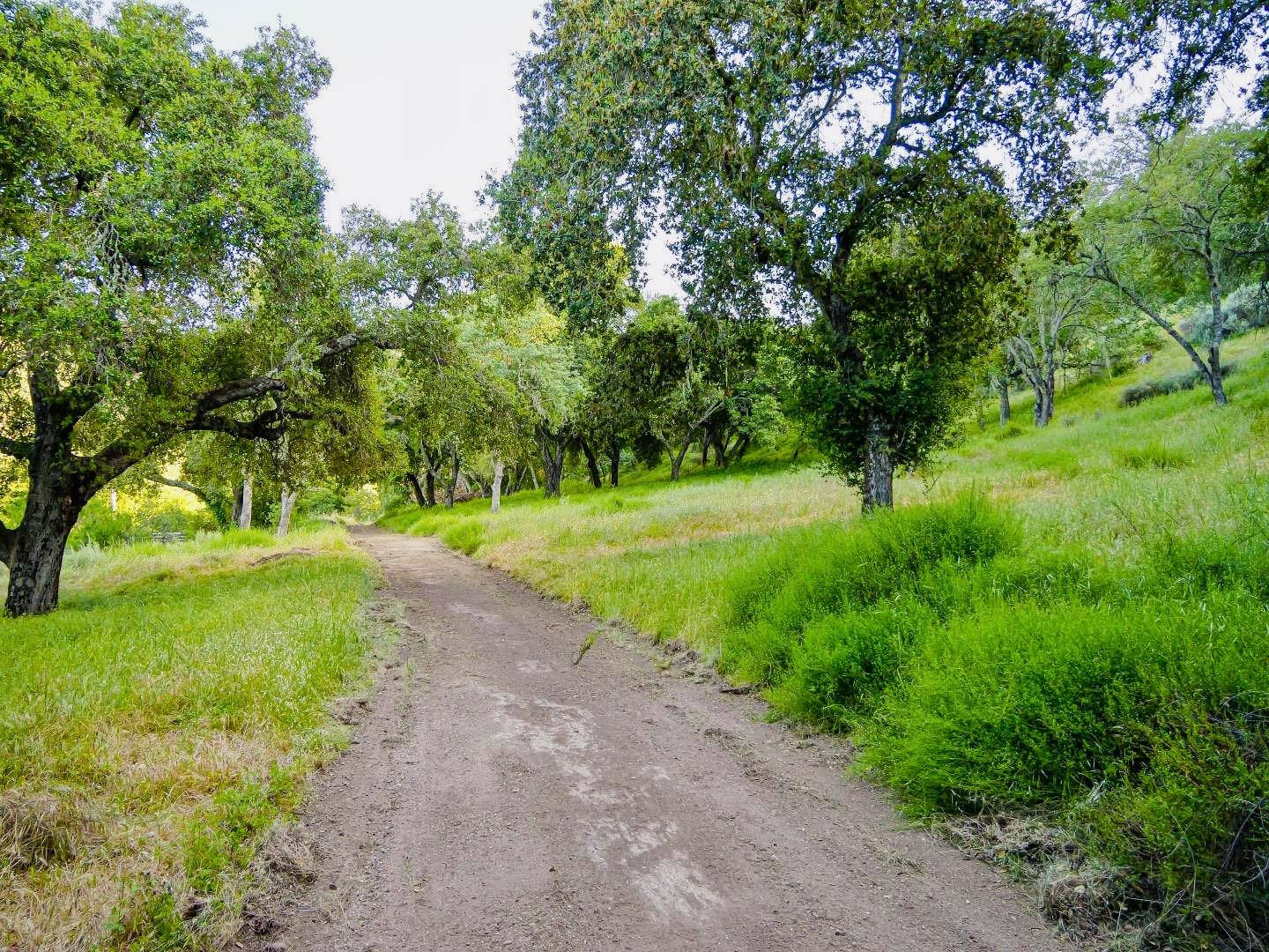 Detail Gallery Image 4 of 15 For 30010 Olivia Dr, Greenfield,  CA 93927 - – Beds | – Baths