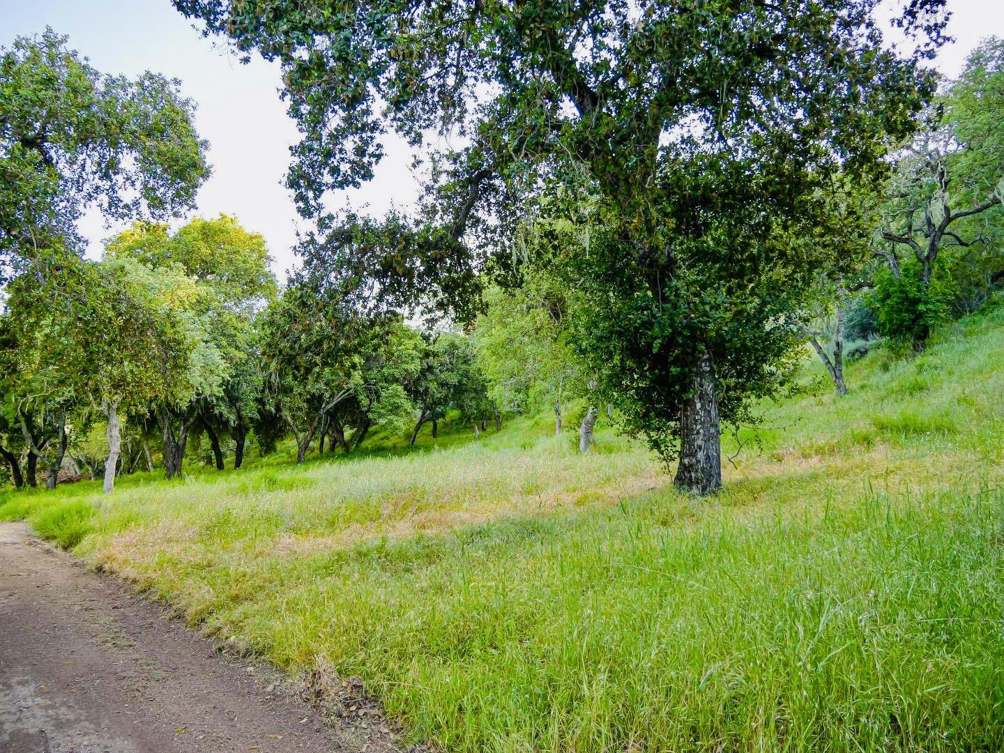 Detail Gallery Image 5 of 15 For 30010 Olivia Dr, Greenfield,  CA 93927 - – Beds | – Baths