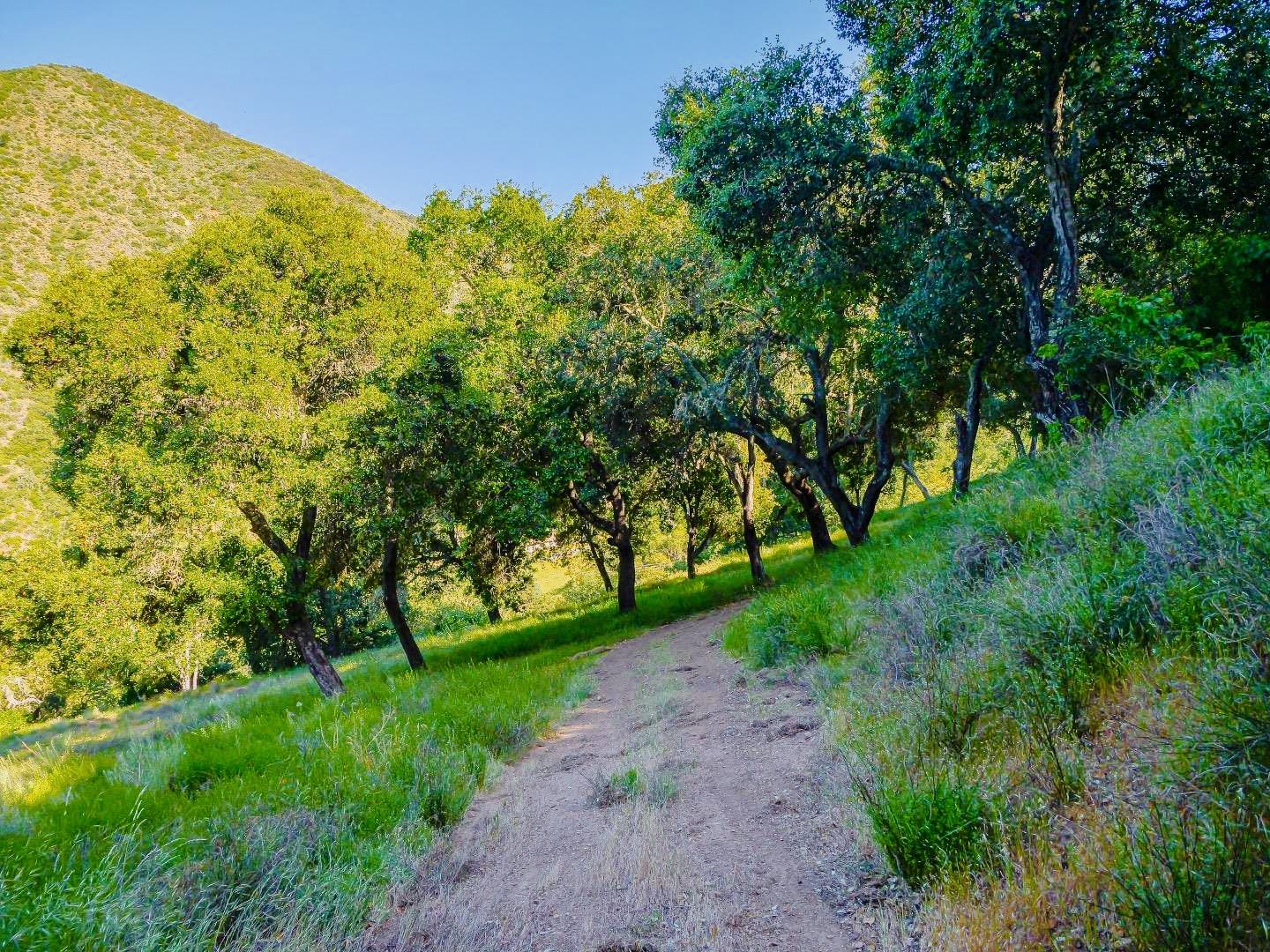 Detail Gallery Image 6 of 15 For 30010 Olivia Dr, Greenfield,  CA 93927 - – Beds | – Baths