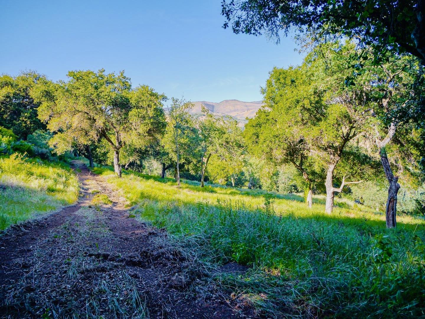 Detail Gallery Image 7 of 15 For 30010 Olivia Dr, Greenfield,  CA 93927 - – Beds | – Baths