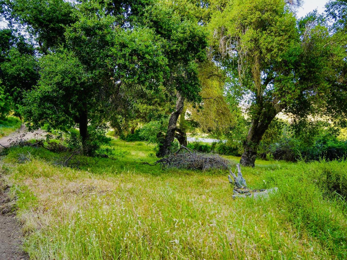 Detail Gallery Image 8 of 15 For 30010 Olivia Dr, Greenfield,  CA 93927 - – Beds | – Baths