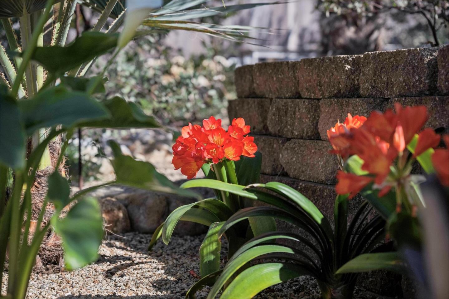 Detail Gallery Image 34 of 46 For 217 Edinburgh Ave, Monterey,  CA 93940 - 2 Beds | 1 Baths