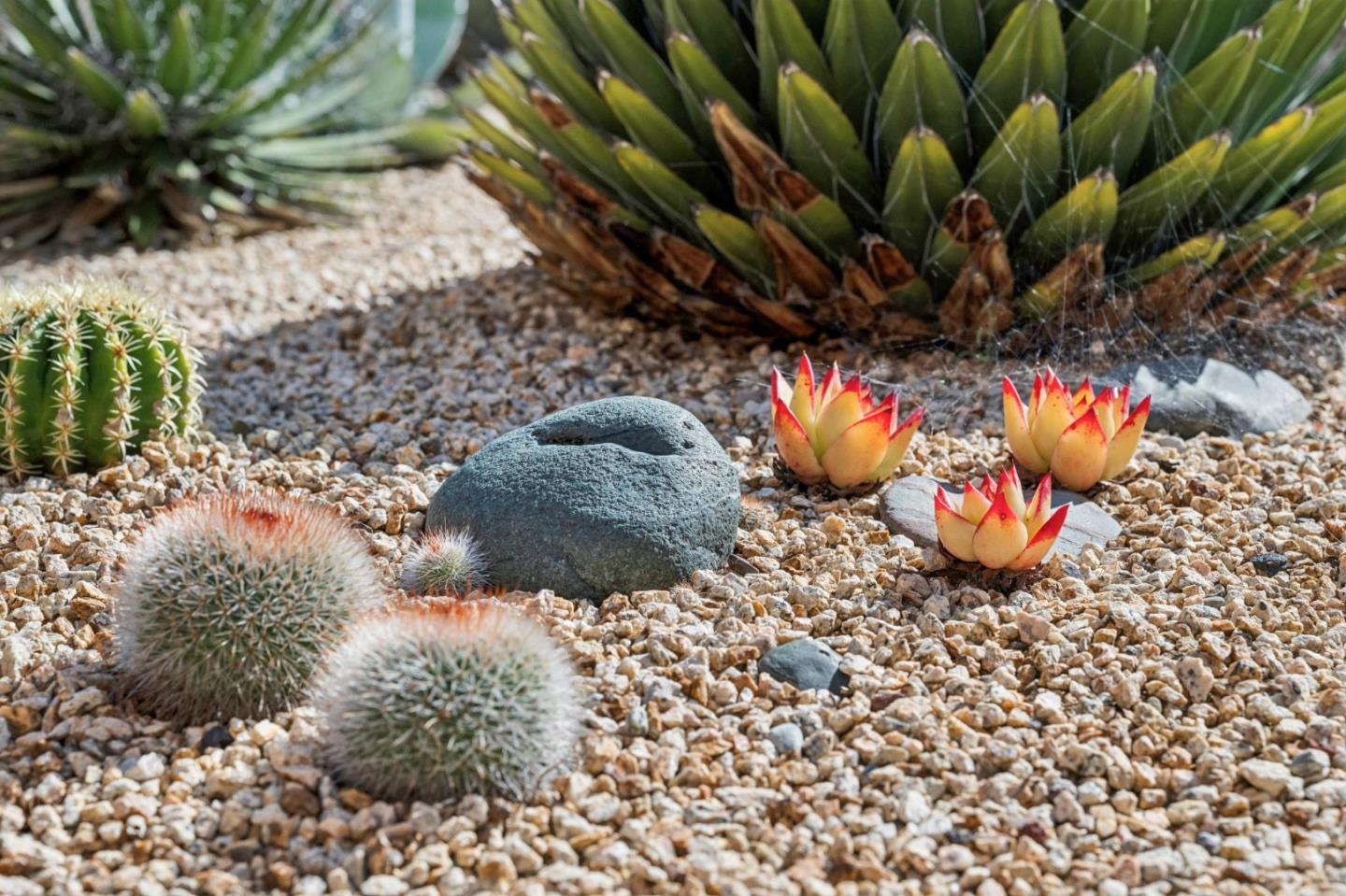 Detail Gallery Image 5 of 46 For 217 Edinburgh Ave, Monterey,  CA 93940 - 2 Beds | 1 Baths