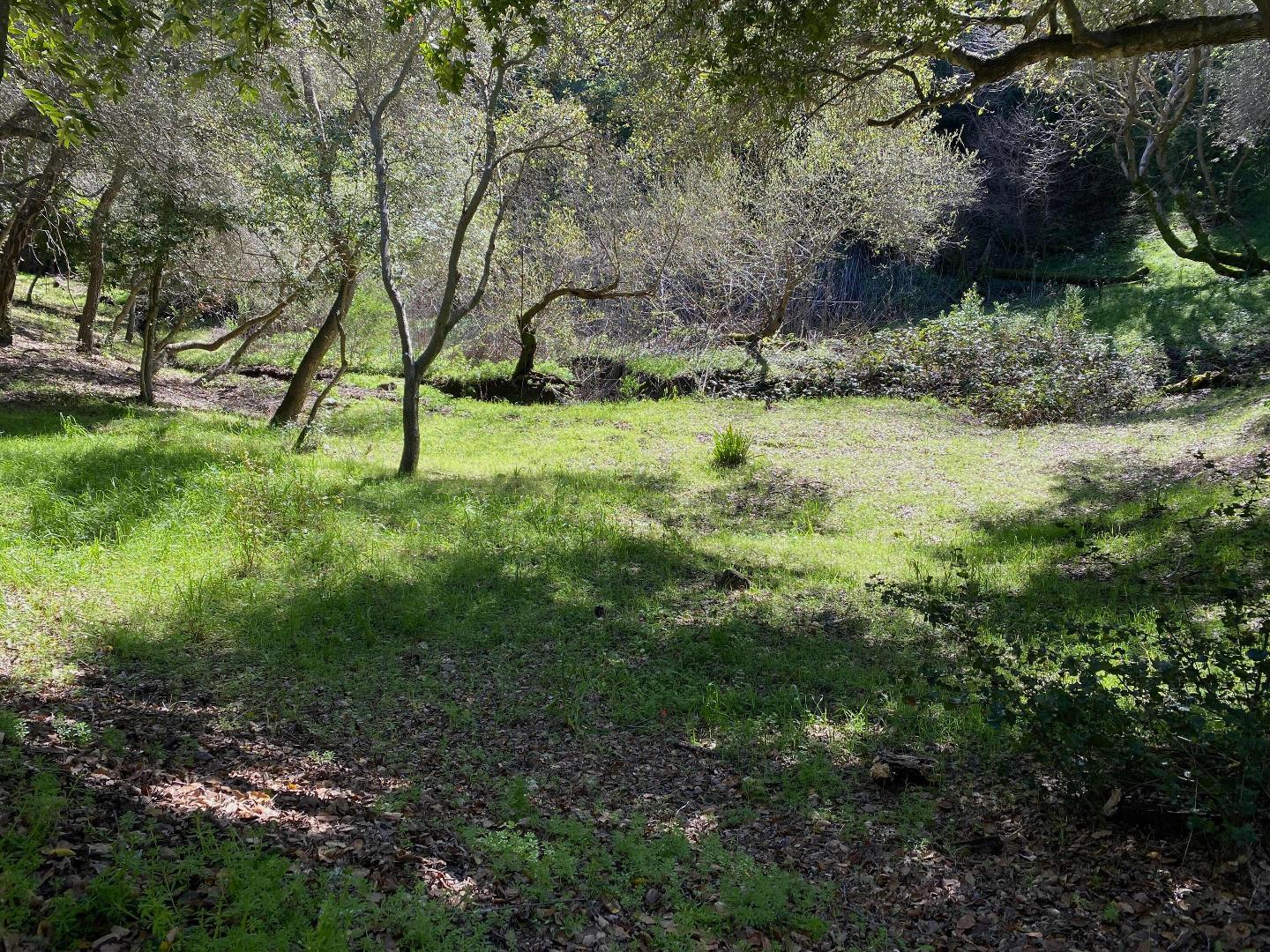 Detail Gallery Image 14 of 21 For 15397 Kennedy Rd, Los Gatos,  CA 95032 - – Beds | – Baths