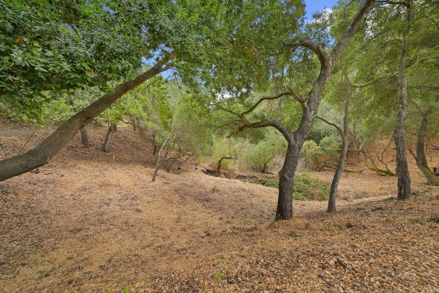 Detail Gallery Image 15 of 21 For 15397 Kennedy Rd, Los Gatos,  CA 95032 - – Beds | – Baths