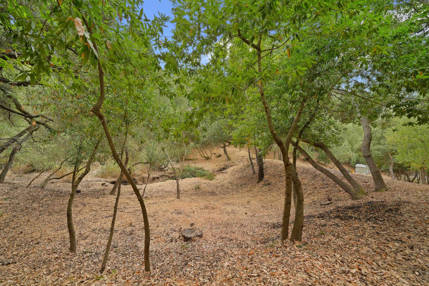 Detail Gallery Image 16 of 21 For 15397 Kennedy Rd, Los Gatos,  CA 95032 - – Beds | – Baths