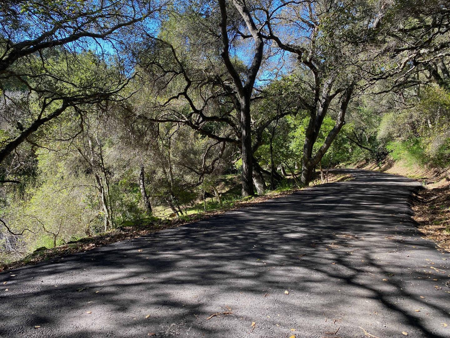 Detail Gallery Image 18 of 21 For 15397 Kennedy Rd, Los Gatos,  CA 95032 - – Beds | – Baths