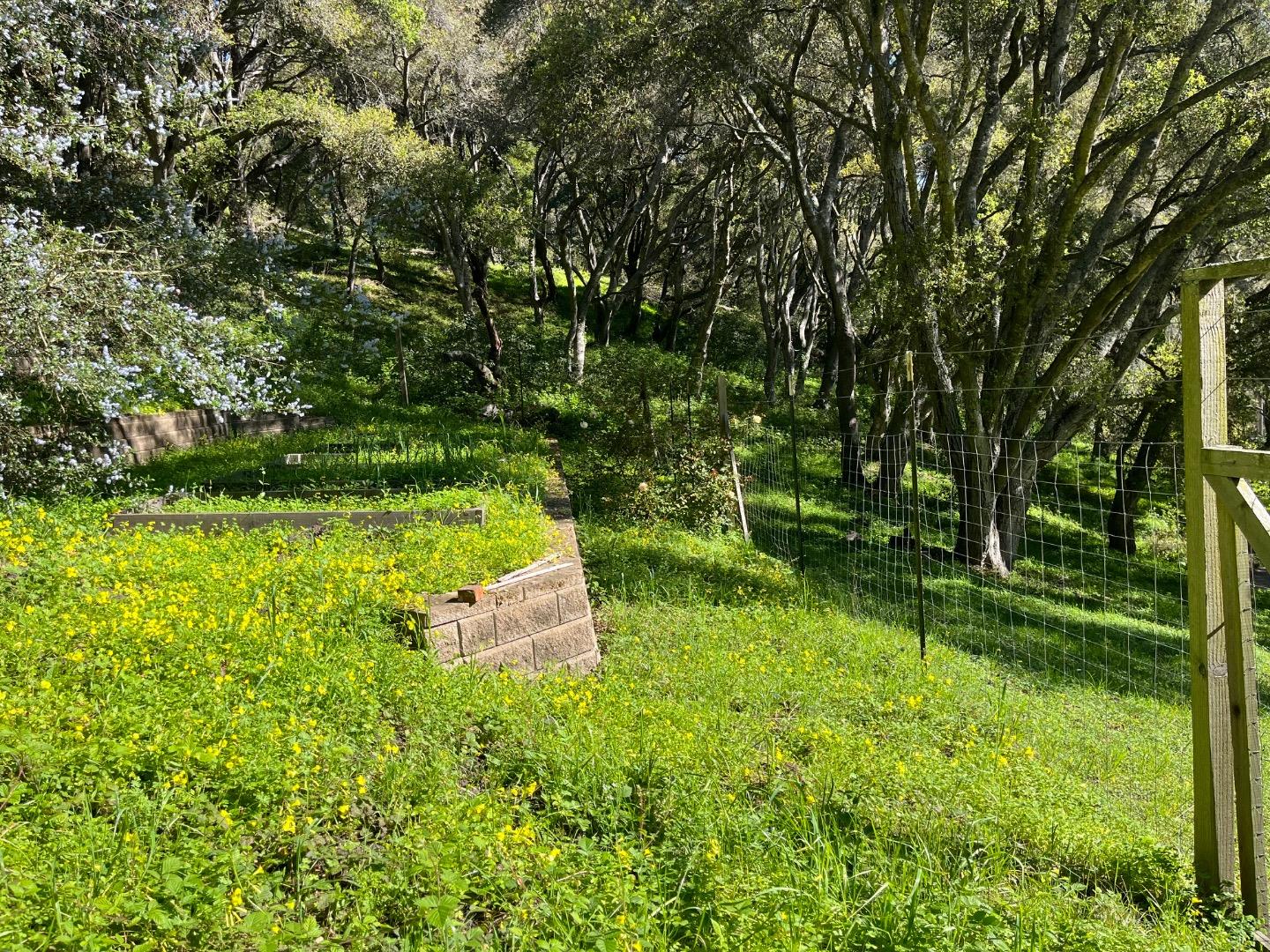 Detail Gallery Image 16 of 29 For 0 Baker Rd, Aptos,  CA 95003 - – Beds | – Baths