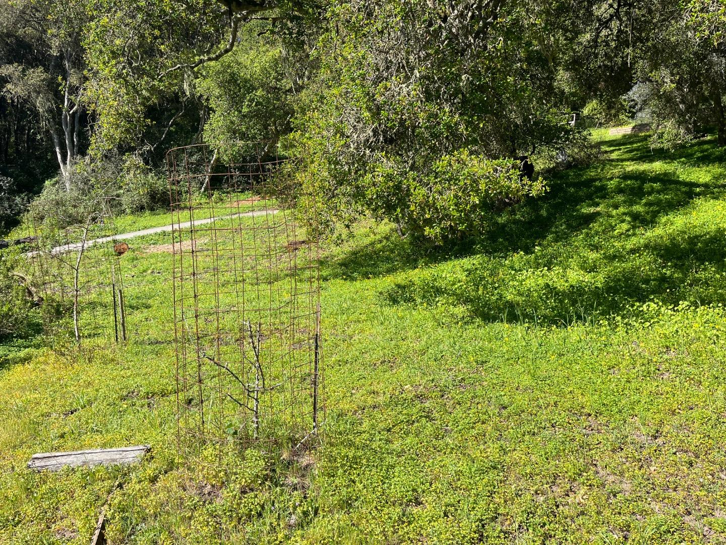 Detail Gallery Image 22 of 29 For 0 Baker Rd, Aptos,  CA 95003 - – Beds | – Baths