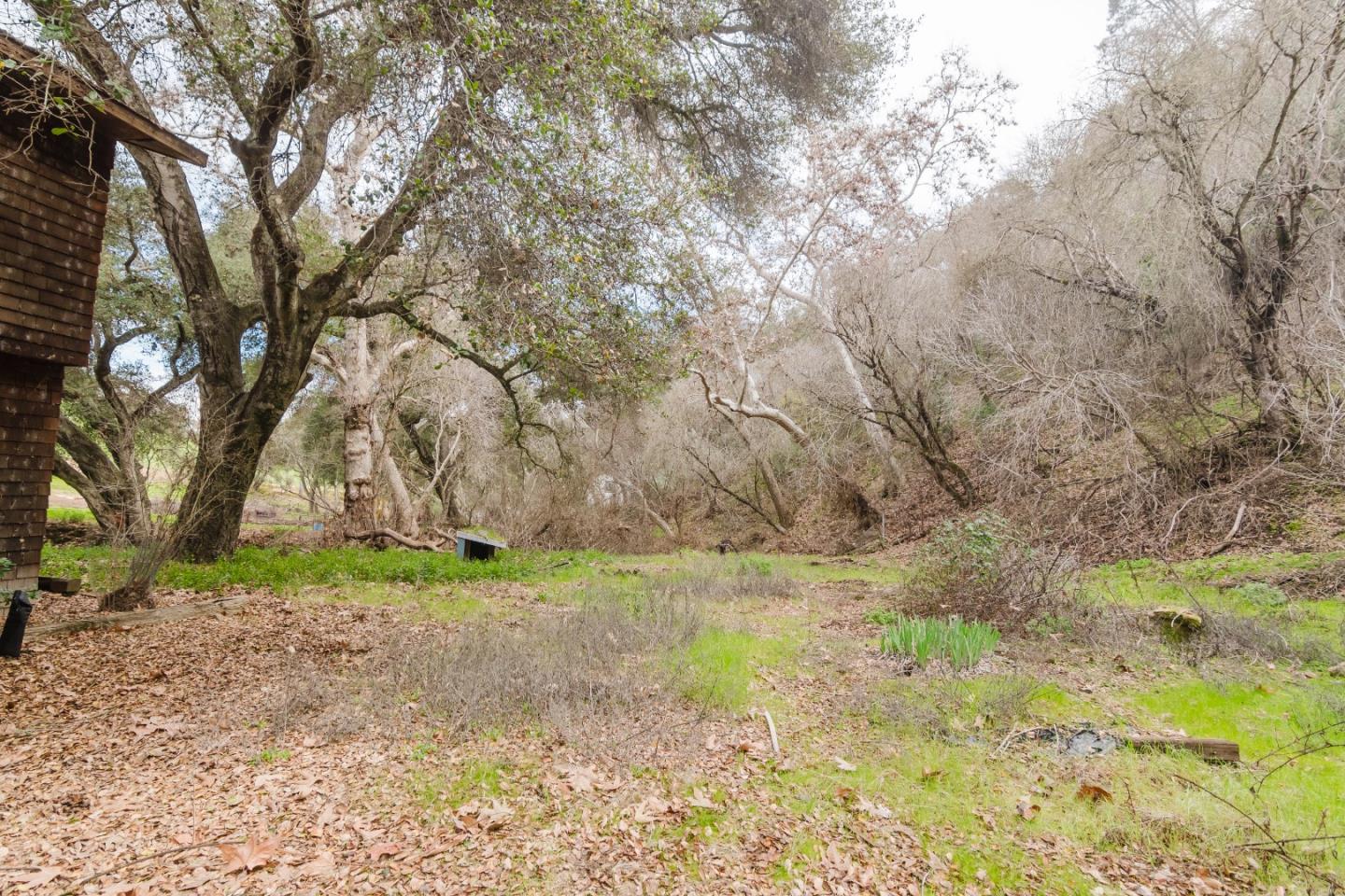 Detail Gallery Image 9 of 26 For 54101 Pine Canyon Rd, King City,  CA 93930 - 5 Beds | 2 Baths