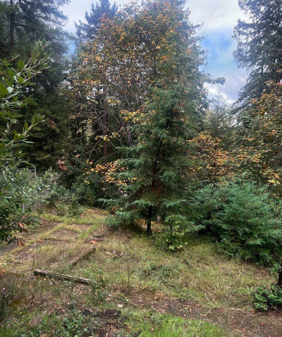 Detail Gallery Image 3 of 10 For 21578 Alma Ct, Los Gatos,  CA 95033 - – Beds | – Baths