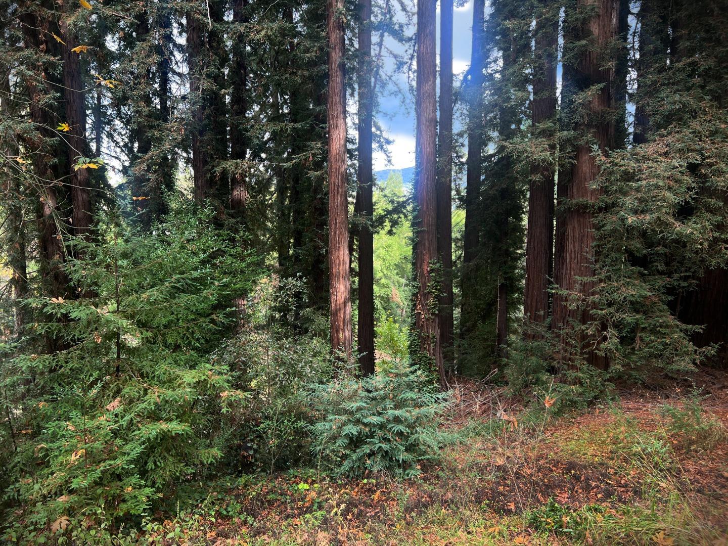 Detail Gallery Image 5 of 10 For 21578 Alma Ct, Los Gatos,  CA 95033 - – Beds | – Baths