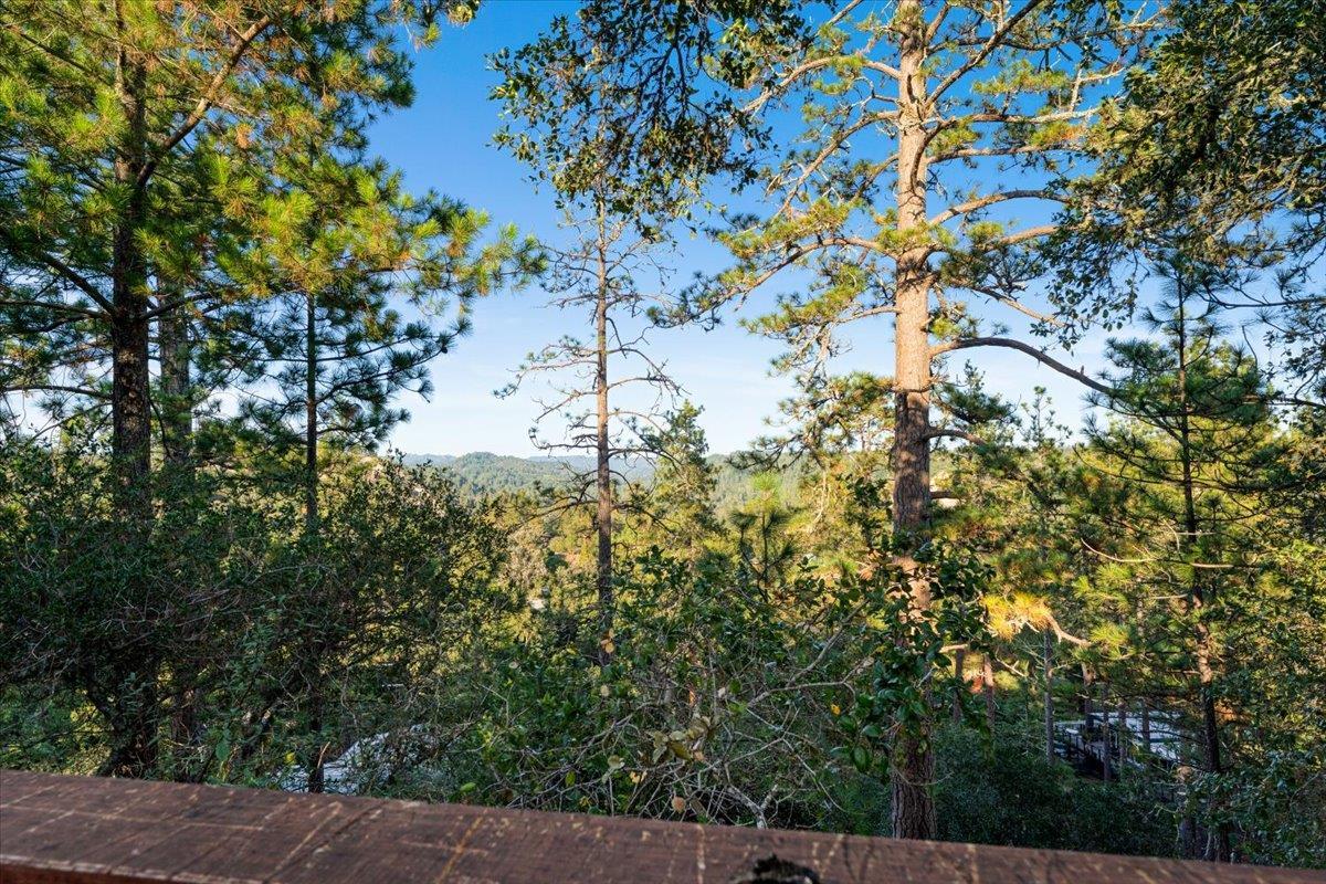 Detail Gallery Image 72 of 101 For 7409 Hihn Rd, Ben Lomond,  CA 95005 - 4 Beds | 3 Baths