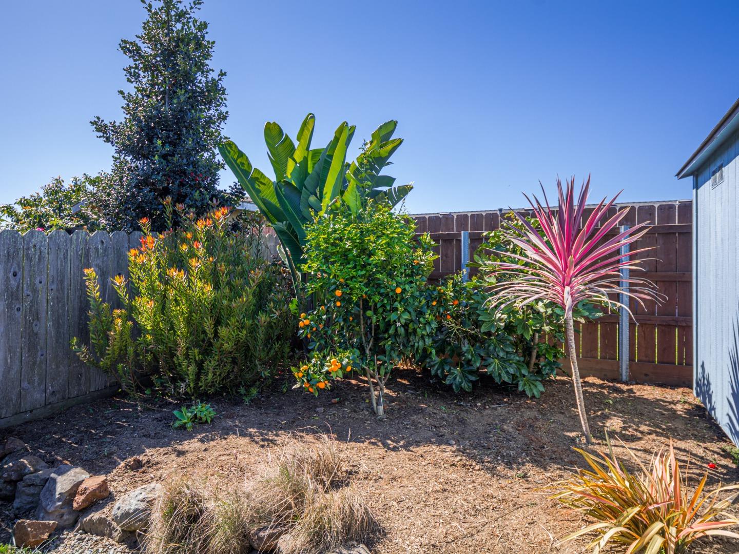 Detail Gallery Image 26 of 30 For 569 Cedar Dr, Watsonville,  CA 95076 - 2 Beds | 1 Baths