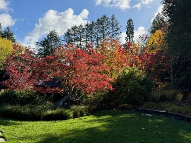 Detail Gallery Image 45 of 47 For 160 Phillip Rd, Woodside,  CA 94062 - 5 Beds | 5/1 Baths