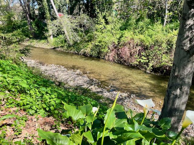 Detail Gallery Image 4 of 24 For 3060 Porter St #28,  Soquel,  CA 95073 - 2 Beds | 2 Baths