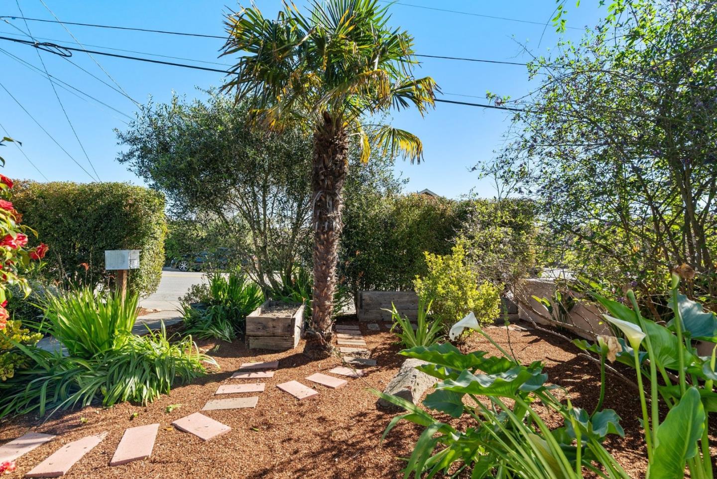 Detail Gallery Image 19 of 41 For 205 Fair Ave, Santa Cruz,  CA 95060 - 2 Beds | 1 Baths