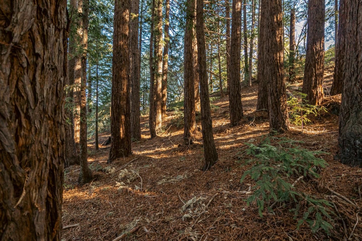 Detail Gallery Image 39 of 44 For 1130 Hidden Valley Rd, Soquel,  CA 95073 - 3 Beds | 3 Baths