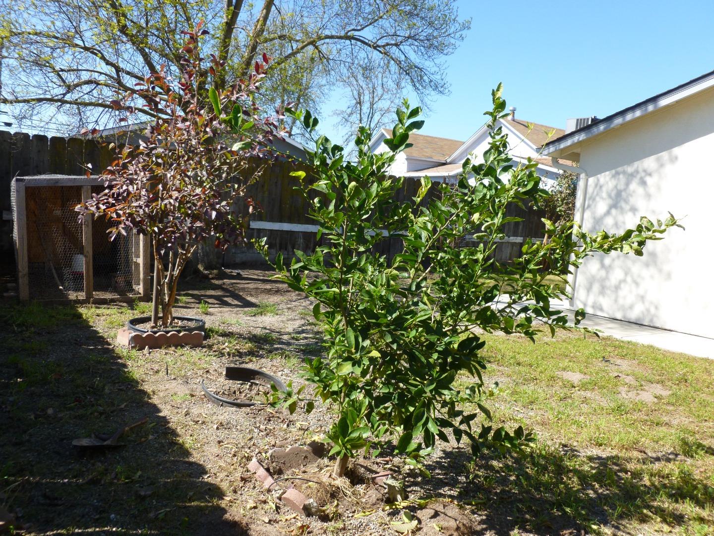 Detail Gallery Image 29 of 54 For 460 Se Jeremy Ct, Oakdale,  CA 95361 - 3 Beds | 2 Baths