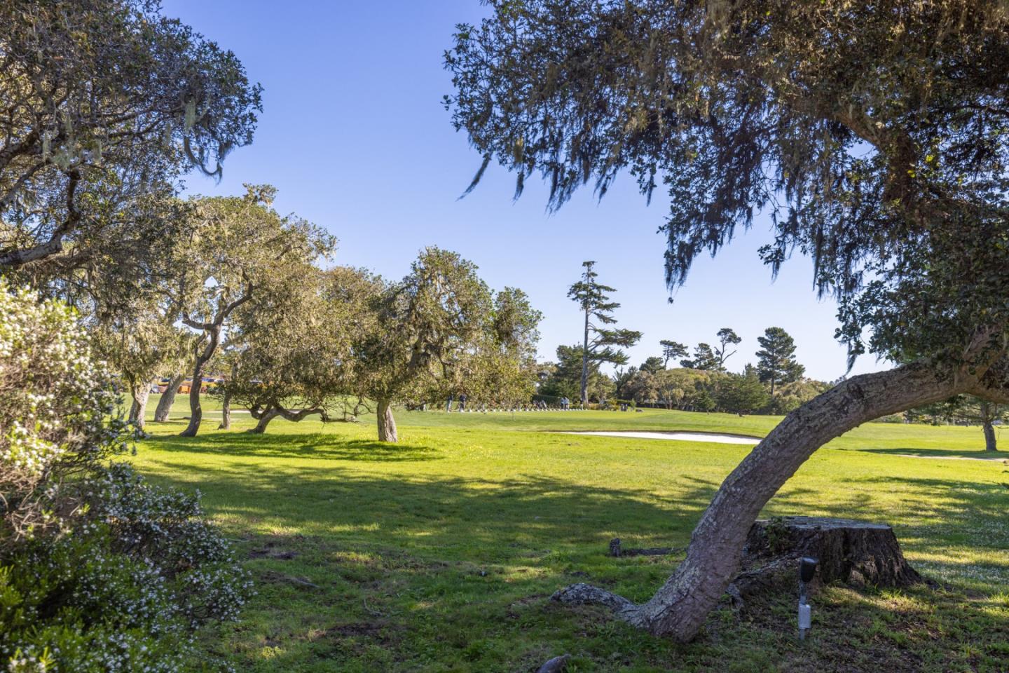 Detail Gallery Image 9 of 21 For 1057 Broncho Rd, Pebble Beach,  CA 93953 - 3 Beds | 3 Baths