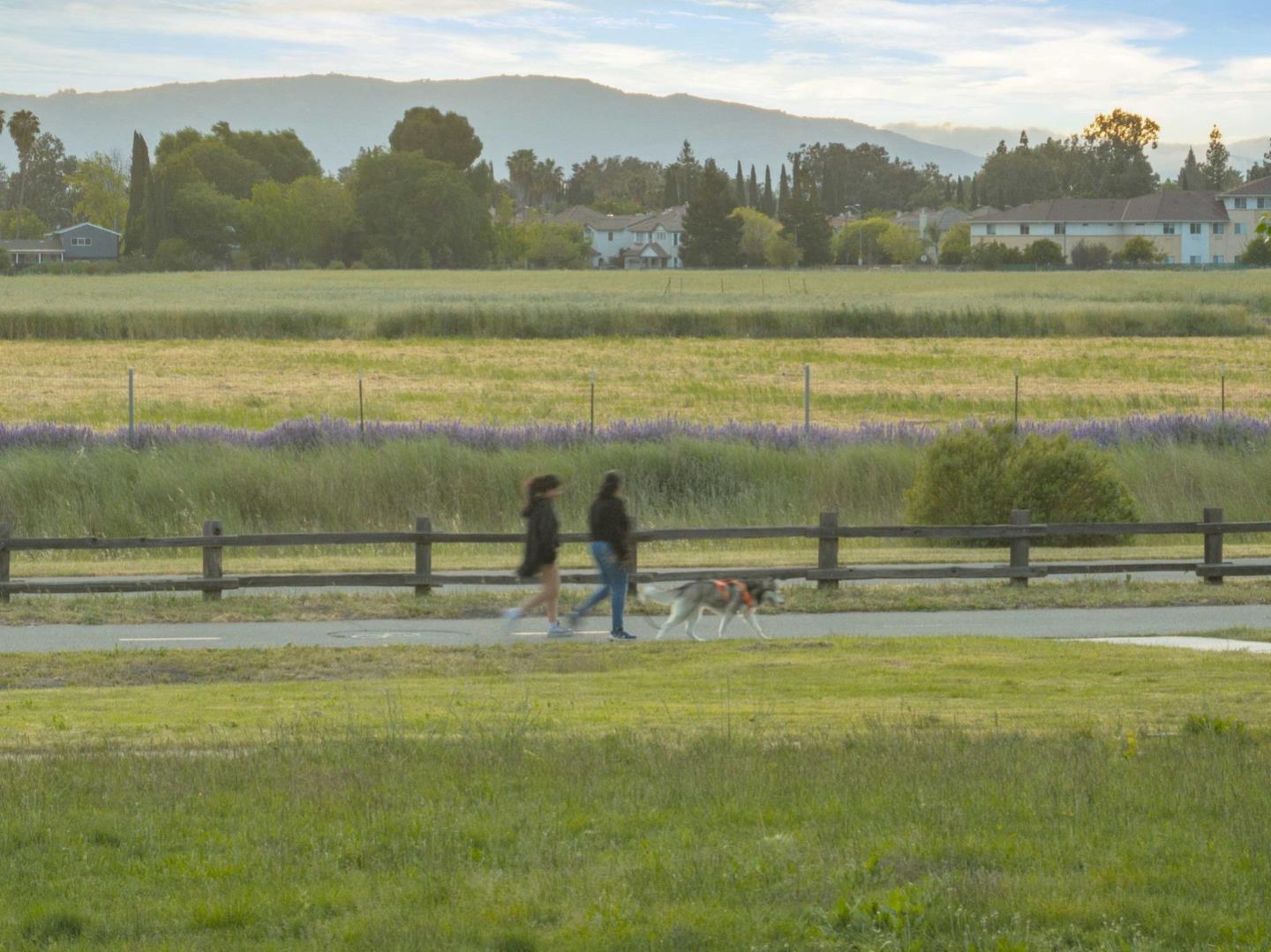 Detail Gallery Image 52 of 58 For 5114 Sussex Park Ct, San Jose,  CA 95136 - 3 Beds | 2/1 Baths