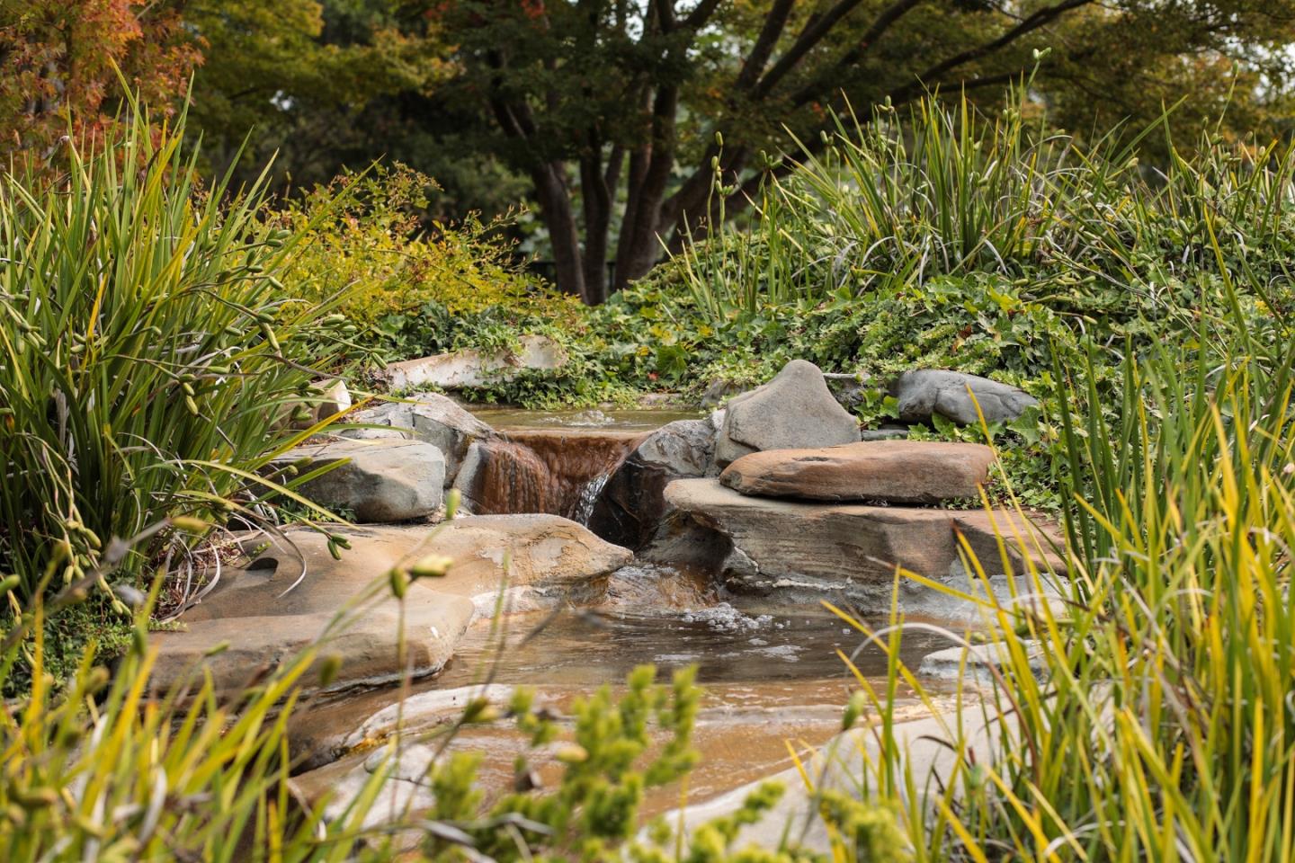 Detail Gallery Image 34 of 41 For 1651 Taylor Ln, Santa Cruz,  CA 95062 - 2 Beds | 2 Baths