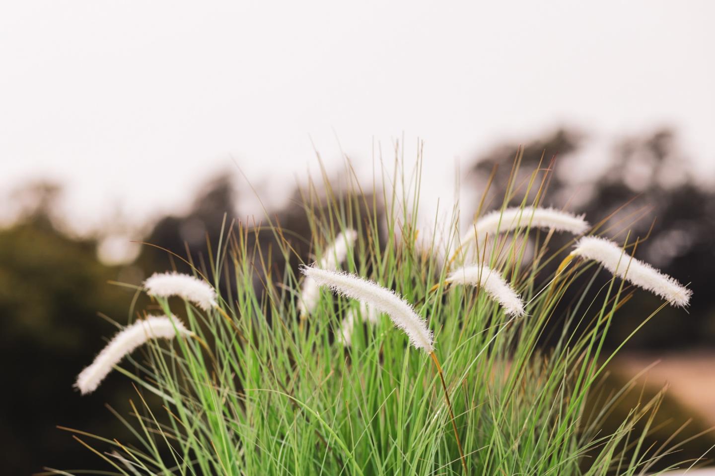 Detail Gallery Image 35 of 41 For 1651 Taylor Ln, Santa Cruz,  CA 95062 - 2 Beds | 2 Baths