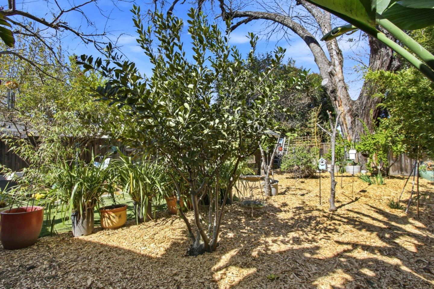 Detail Gallery Image 48 of 50 For 531 Brooks Ave, San Jose,  CA 95125 - 3 Beds | 2 Baths