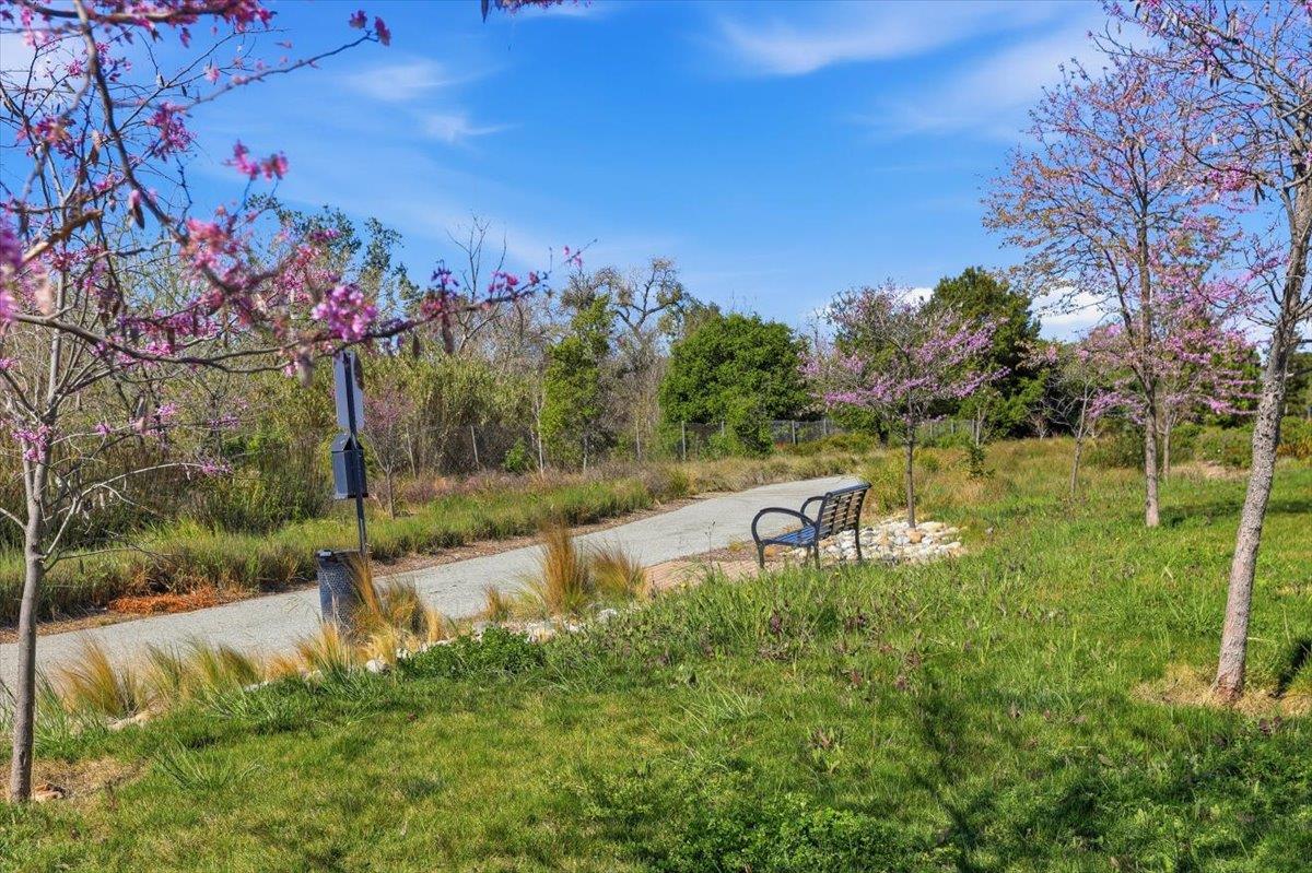 Photo #37: ML82037833 Listing: Photo #37