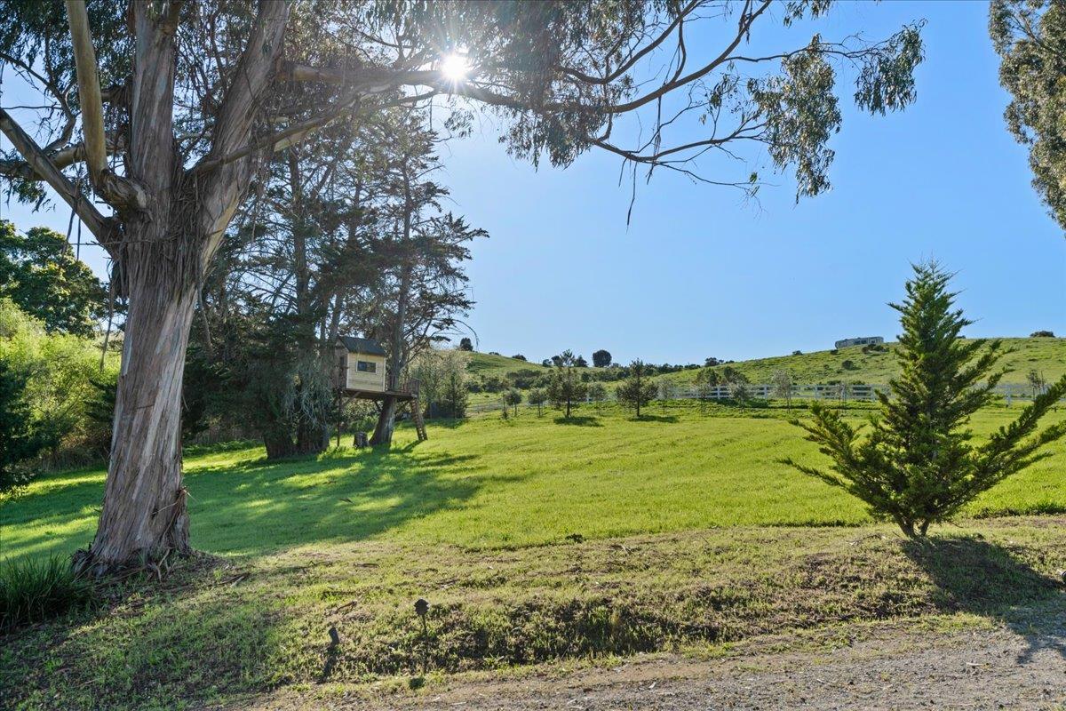 Detail Gallery Image 34 of 112 For 1535 School Rd, San Juan Bautista,  CA 95045 - 4 Beds | 2 Baths