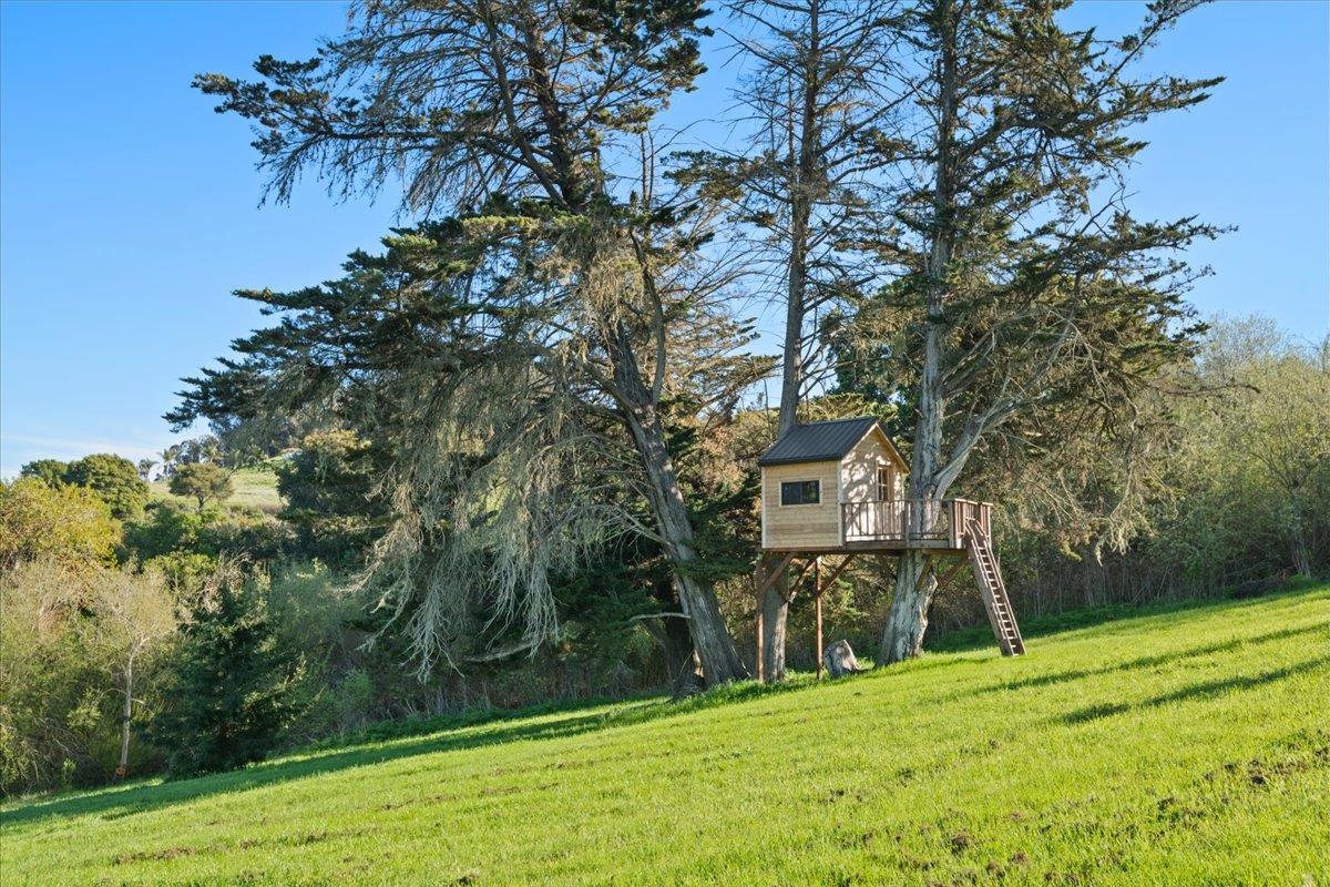 Detail Gallery Image 35 of 112 For 1535 School Rd, San Juan Bautista,  CA 95045 - 4 Beds | 2 Baths