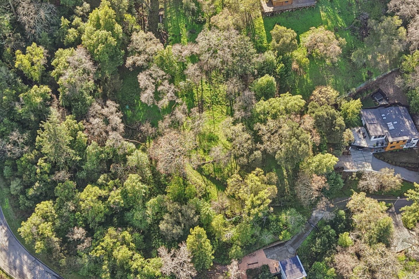 145 Foxwood Road, Portola Valley, CA, 94028