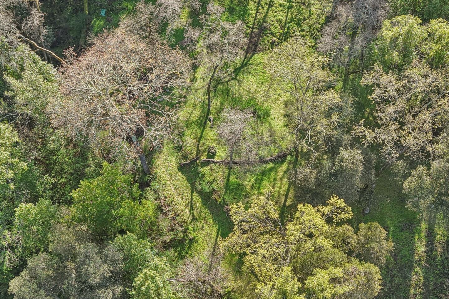 145 Foxwood Road, Portola Valley, CA, 94028