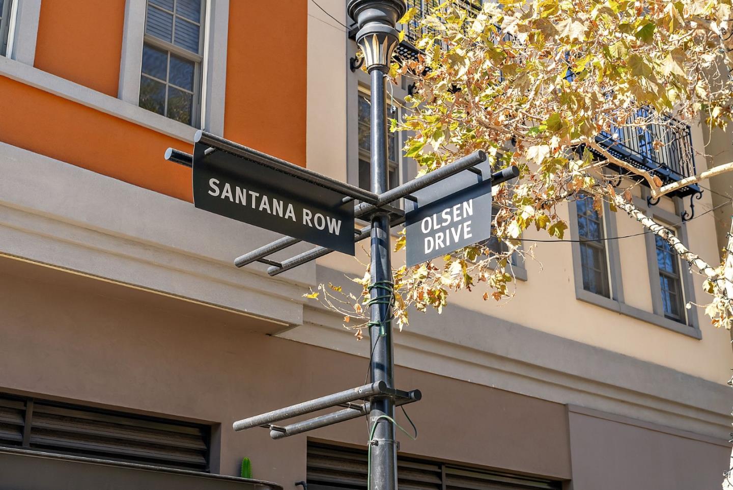 Detail Gallery Image 32 of 35 For 3531 Forest Ave, Santa Clara,  CA 95050 - 4 Beds | 2 Baths