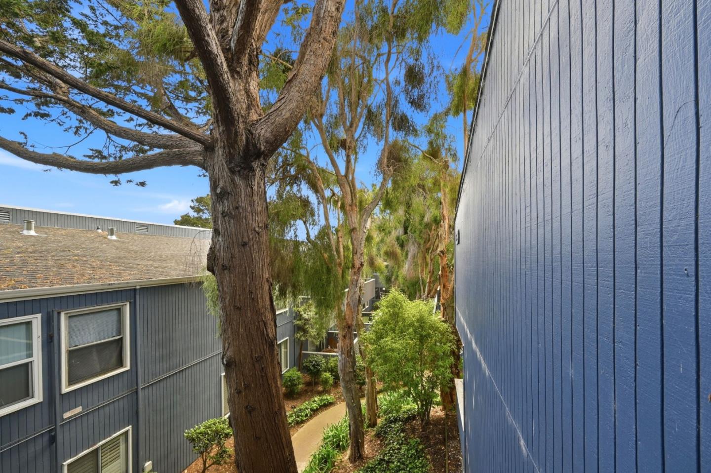 Detail Gallery Image 24 of 28 For 139 Piccadilly Pl #H,  San Bruno,  CA 94066 - 1 Beds | 1 Baths