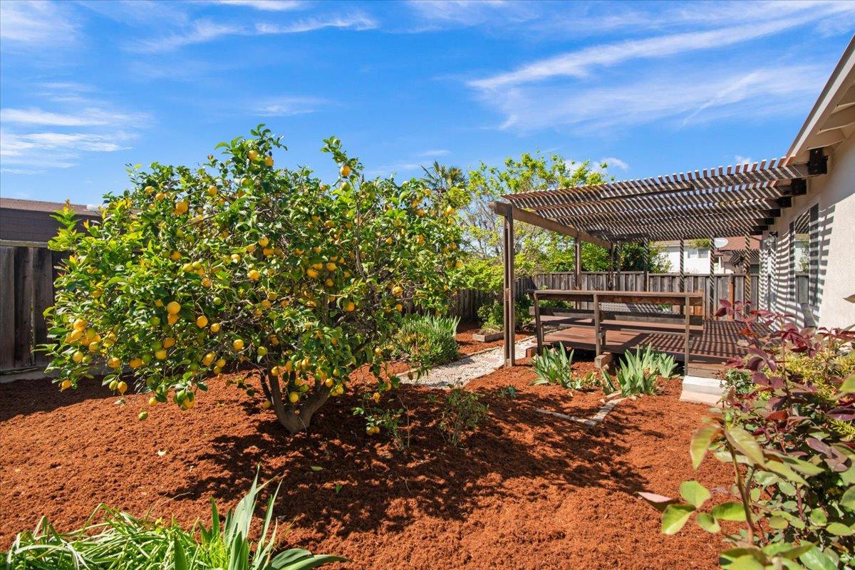 Detail Gallery Image 20 of 21 For 1165 Adams Dr, San Jose,  CA 95132 - 3 Beds | 2 Baths