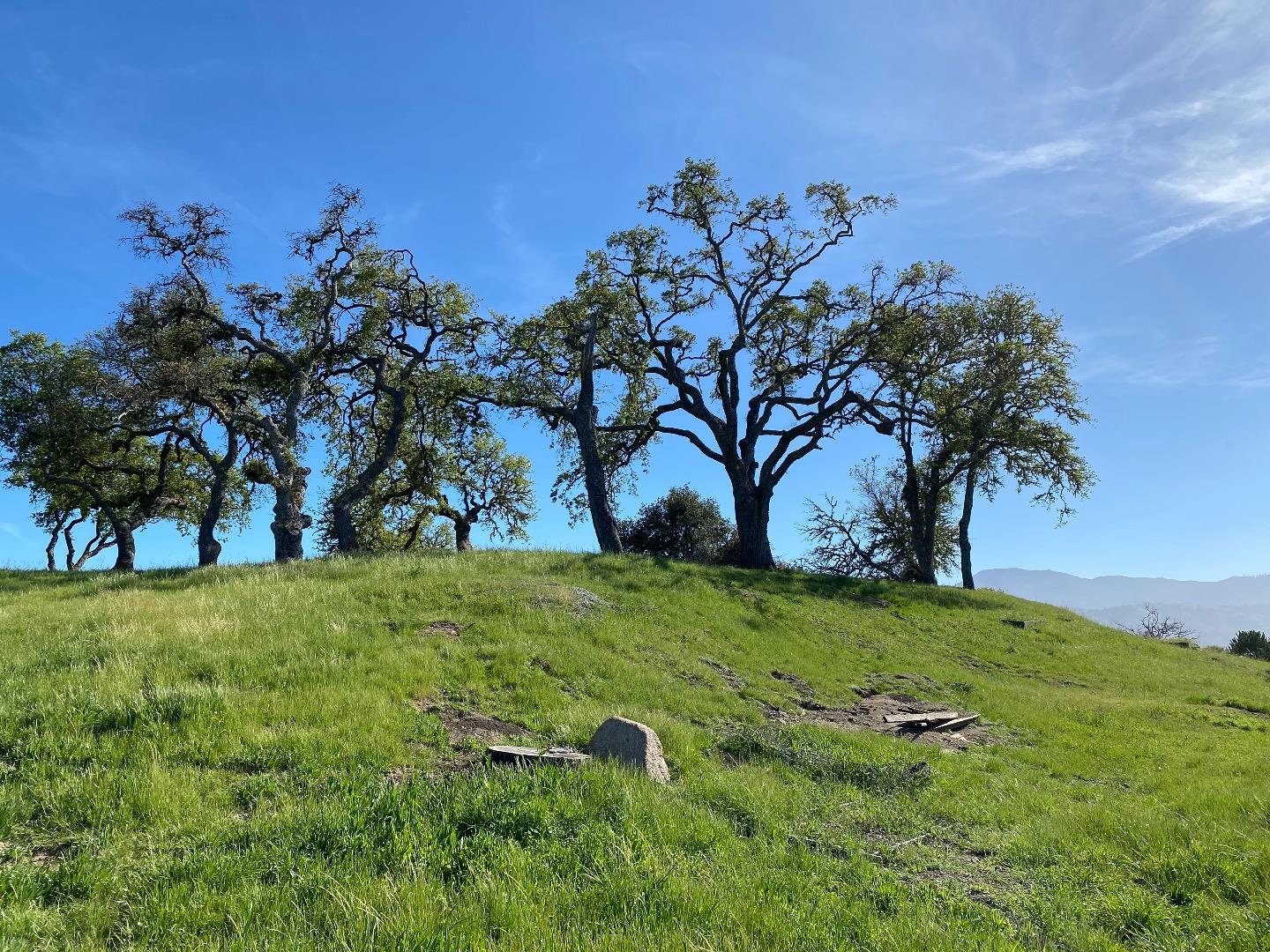 Detail Gallery Image 11 of 16 For 35180 Sky Ranch Rd, Carmel Valley,  CA 93924 - – Beds | – Baths