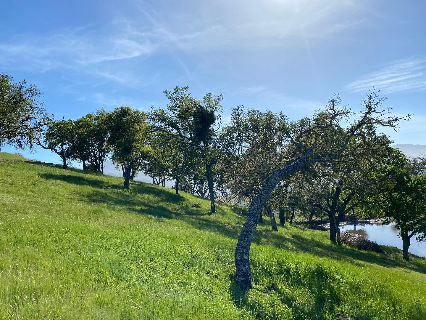 Detail Gallery Image 14 of 16 For 35180 Sky Ranch Rd, Carmel Valley,  CA 93924 - – Beds | – Baths