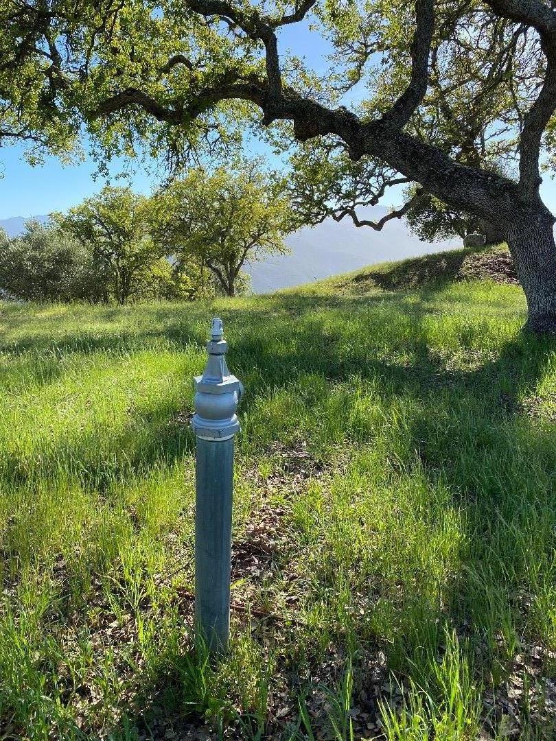 Detail Gallery Image 8 of 16 For 35180 Sky Ranch Rd, Carmel Valley,  CA 93924 - – Beds | – Baths