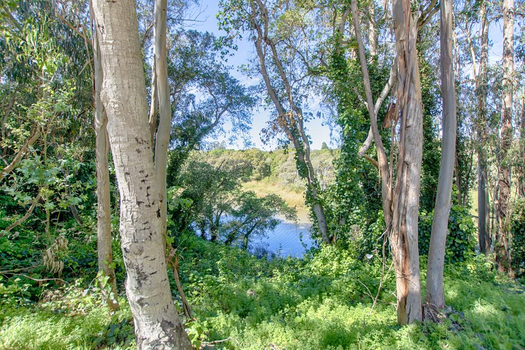 Detail Gallery Image 23 of 34 For 755 14th Ave #308,  Santa Cruz,  CA 95062 - 2 Beds | 1 Baths